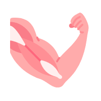 Strengthen Muscles